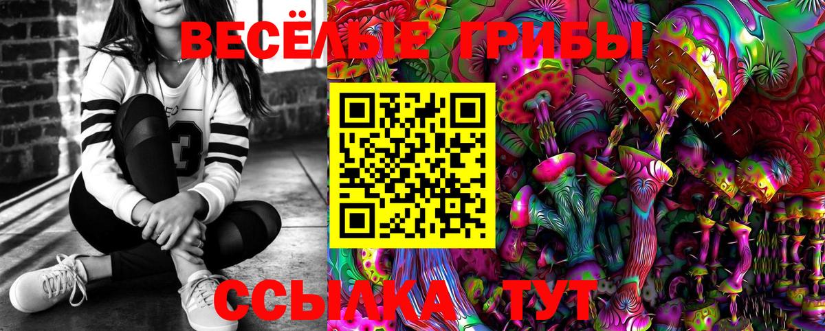 Псилоцибиновые грибы Psilocybe Великие Луки