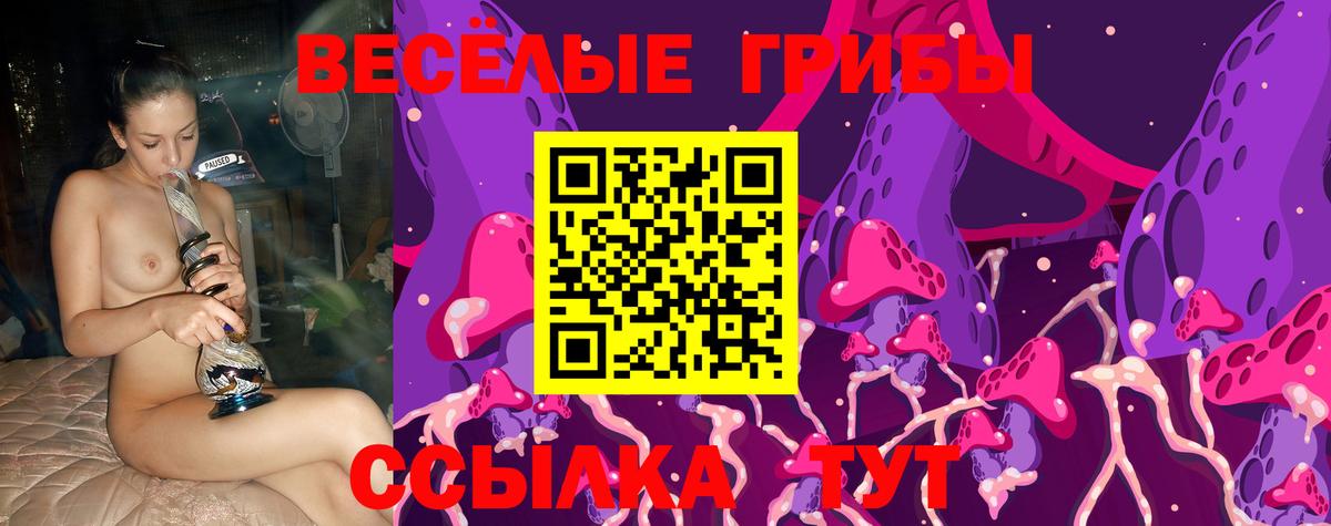 Галлюциногенные грибы Psilocybine cubensis  Галлюциногенные грибы Cubensis  Великие Луки  Вход с VPN 
